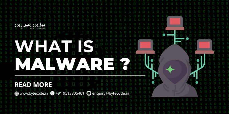 Understanding Malware: A Comprehensive Guide » Dailygram  The Business Network