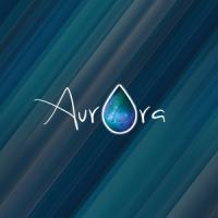 Aurora Window Cleaning Inc.