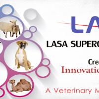 LASA Supergenerics Ltd