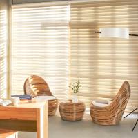 Window Blinds