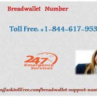 Breadwallet  Support Number  1-844-617-9531