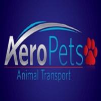 AeroPets Animal Transport