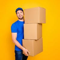 DTDC Packers and Movers