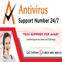 Avast Support Number