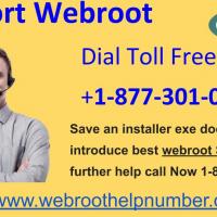 Webroot Support