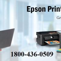 Epson Printer Support Number