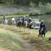 Cedar Creek Stables