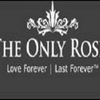 The Only Roses