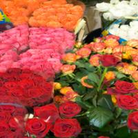 Artisan Floral & Gift Boutique