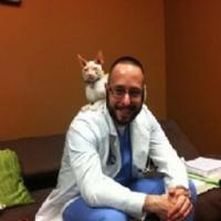 Wilton Manors Animal Hospital