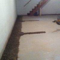 Greentree Waterproofing, Inc.