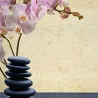 Winnipeg Mind and Body Massage Therapy