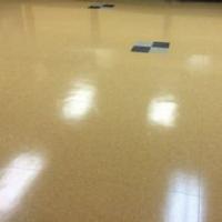 Proteck Carpet & Tile Cleaning