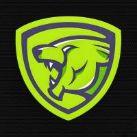 Invincible Lion - Digital Marketing Agency