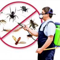 pest control in london