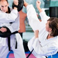 Troy Dorsey's Karate & Fitness - Kickboxing