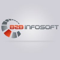 B2B INFOSOFT