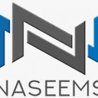 Naseems Accountants