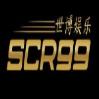SCR99SG3.COM