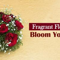 Get Fresh Flowers Delivery In Gurgaon