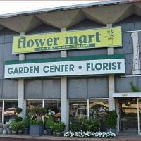 Flower Mart By Sunrise