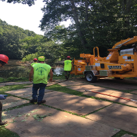 East Greenwich Tree Service Inc