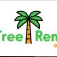 Palm Tree Removal Melbourne