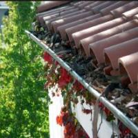 All American Rain Gutter LLC