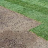 Sunny Slope Sod Farm, LLC