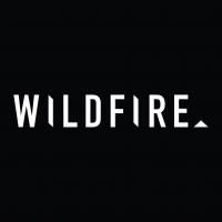 Wildfire Shoes Au