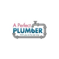 A Perfect Plumber