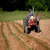 Mac Tractor Parts