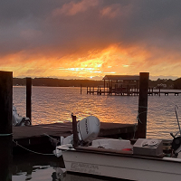 The Oyster Landing