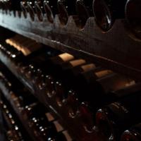 Wine Kitz / Foster's Wine Cellar