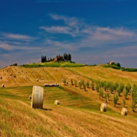 Central Alberta Hay Sales Ltd.