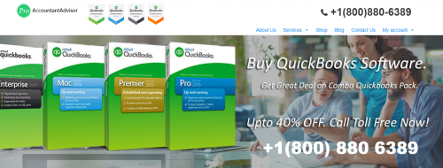 Pro Accountant Advisor- Company