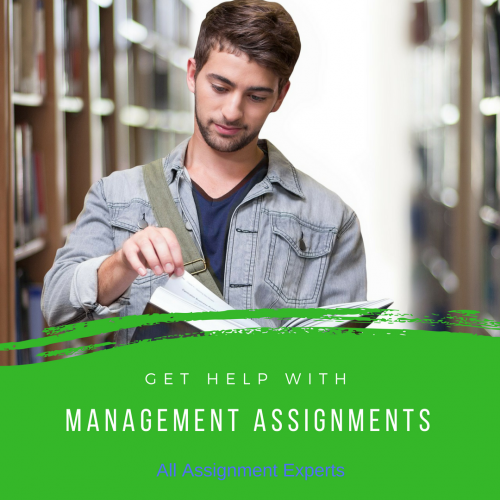 All Assignment Experts - Management Assignment Help