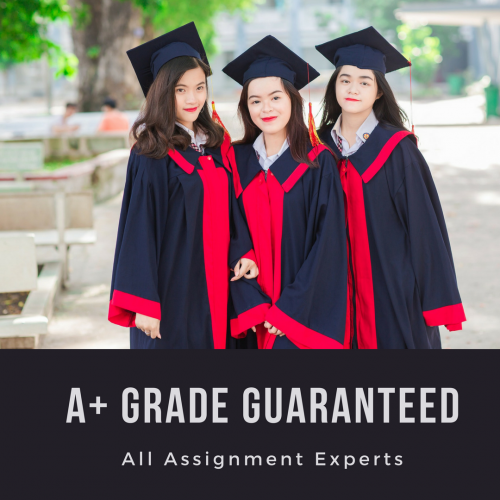 All Assignment Experts - A+ Grade
