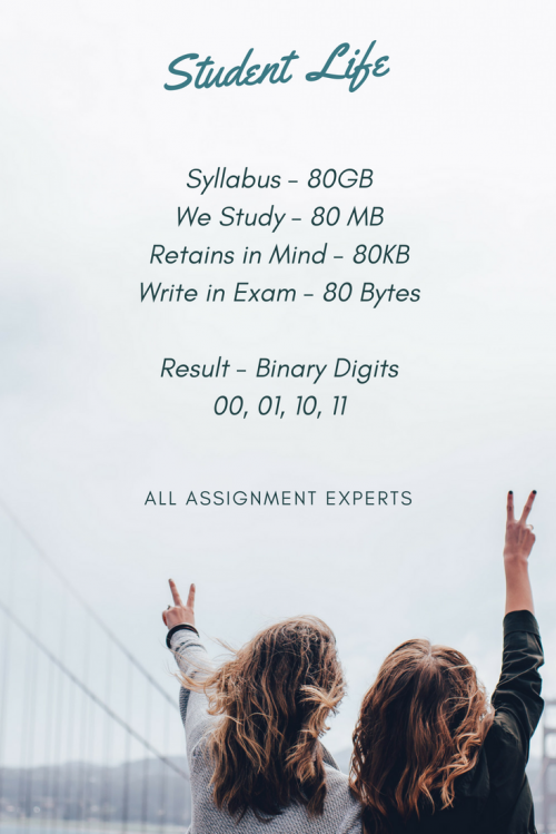 All Assignment Expert - Dissertation Help (1)