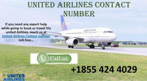 Contact us at United Airlines reservations at +1-855-424-4029