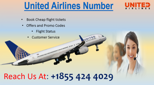 Contact United Airlines phone Number +1855 424 4029