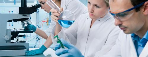 Research Network