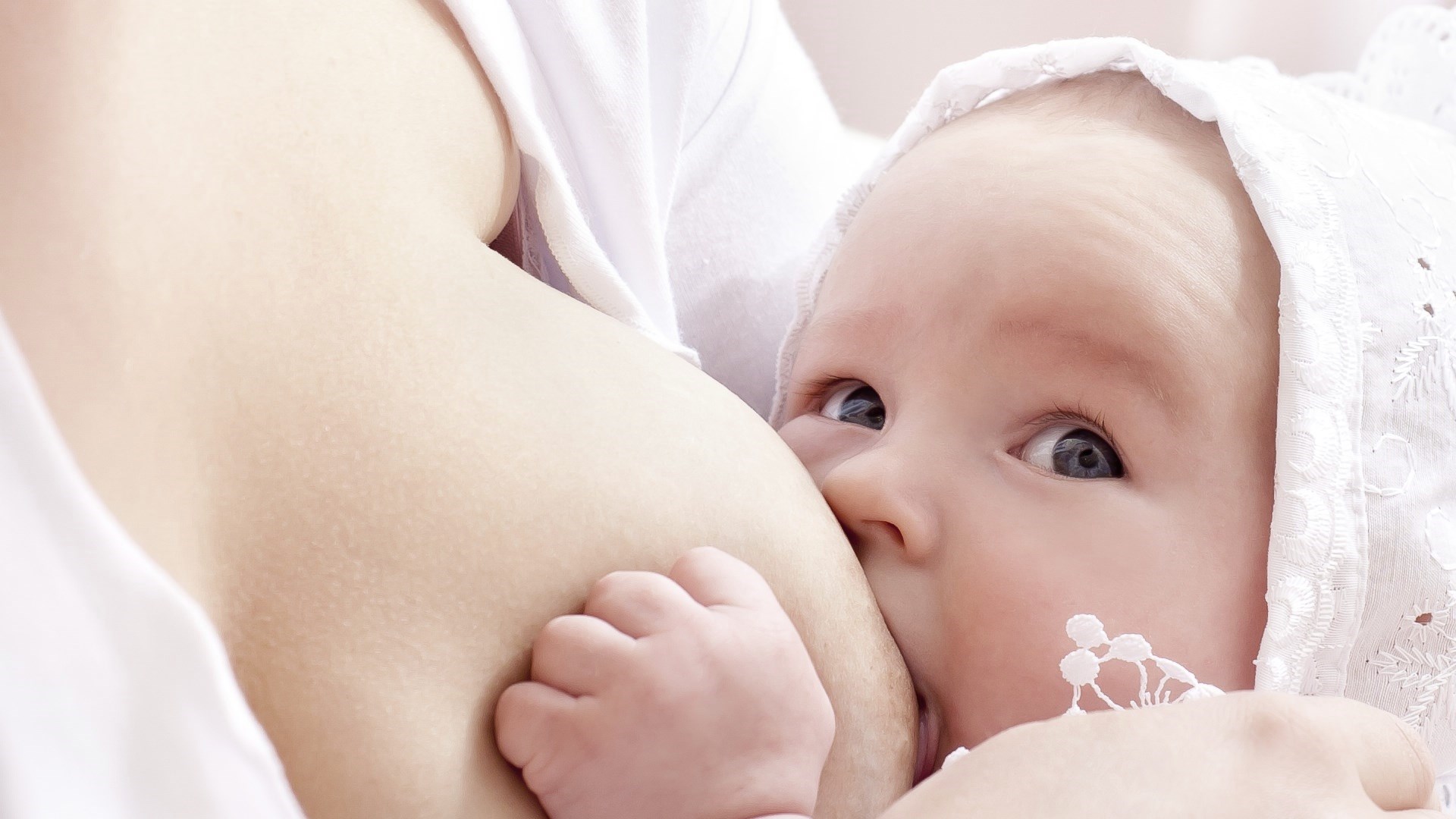 Breastfeeding Companion cover