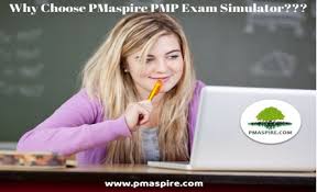 PMP Exam Simulator