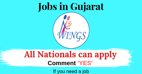 Job in Gujarat