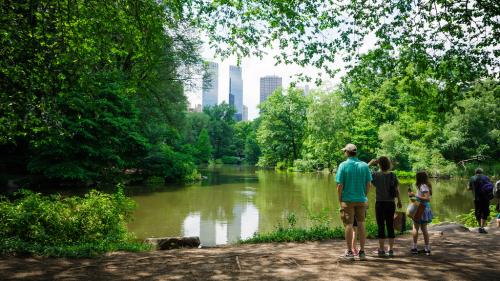 Central Park Conservancy Tour