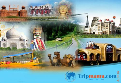 Tour and Travel Operator in India