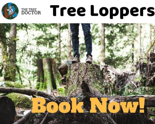 Tree Loppers(1)