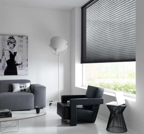 Sunway Cellular LiteRise blinds