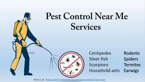 Pest Control Near Me